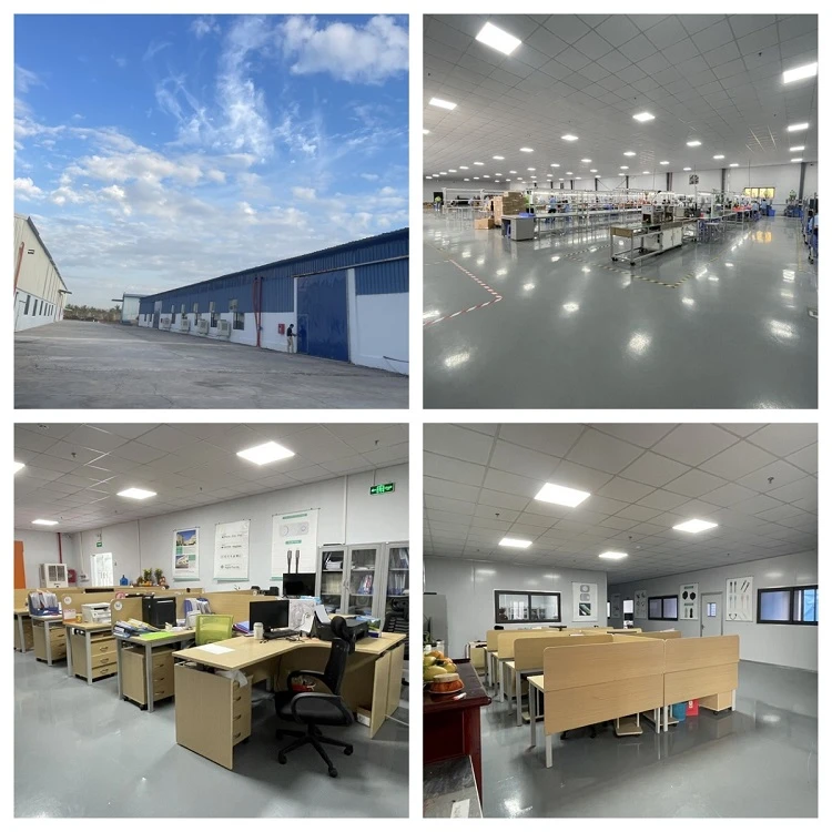 About Our Company